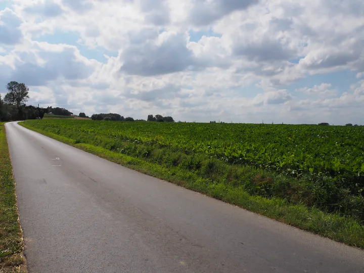 Kwaremont (Belgium)